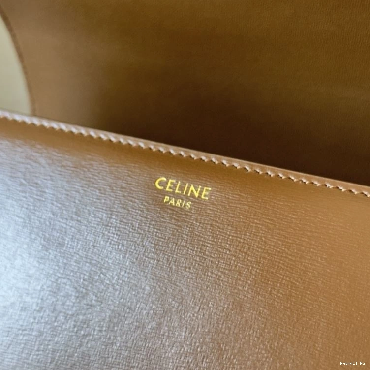 Satchel Bags Celine Durable 60370 0709